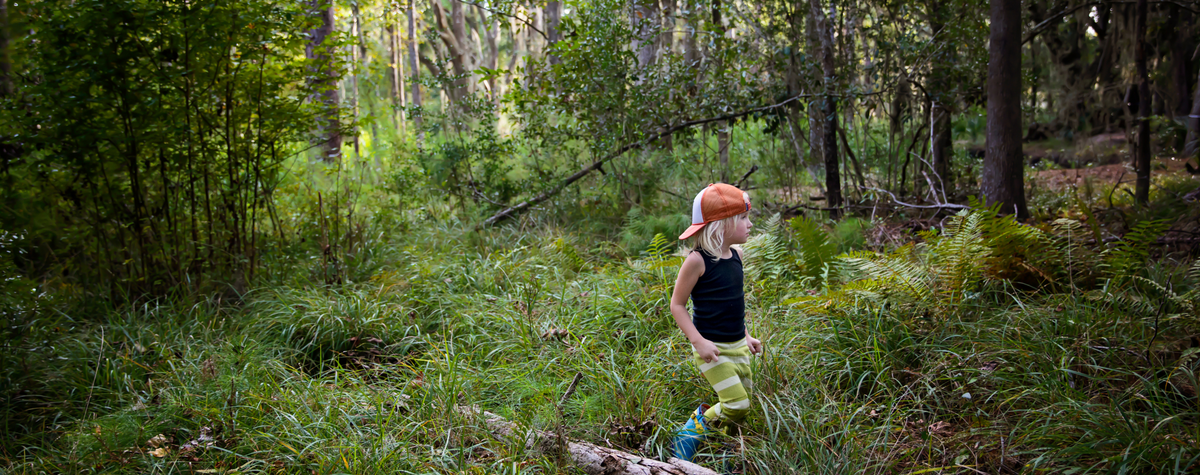 世界中のトップワールドスクーリングプロジェクト