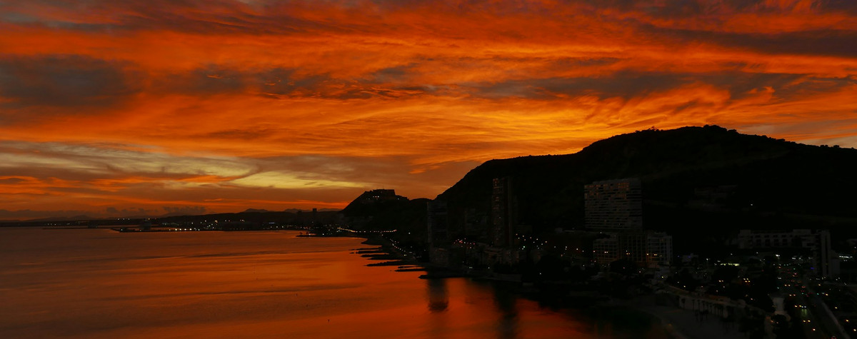 Sandra Escribano：Tenantsとしてのデジタル遊牧民と、成功したレンタルビジネスを運営するために必要なものとのインタビュー