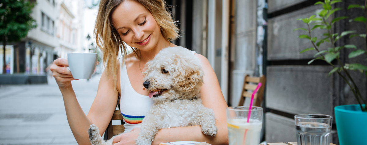 リスボンペットはフレンドリーですか?