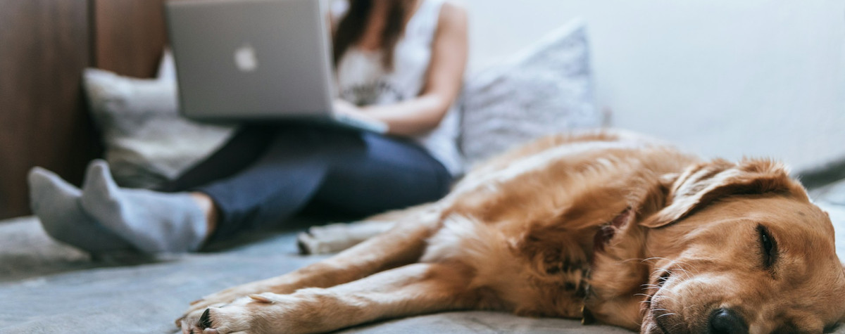 ラップトップを膝の上に置くべきではないのはなぜですか