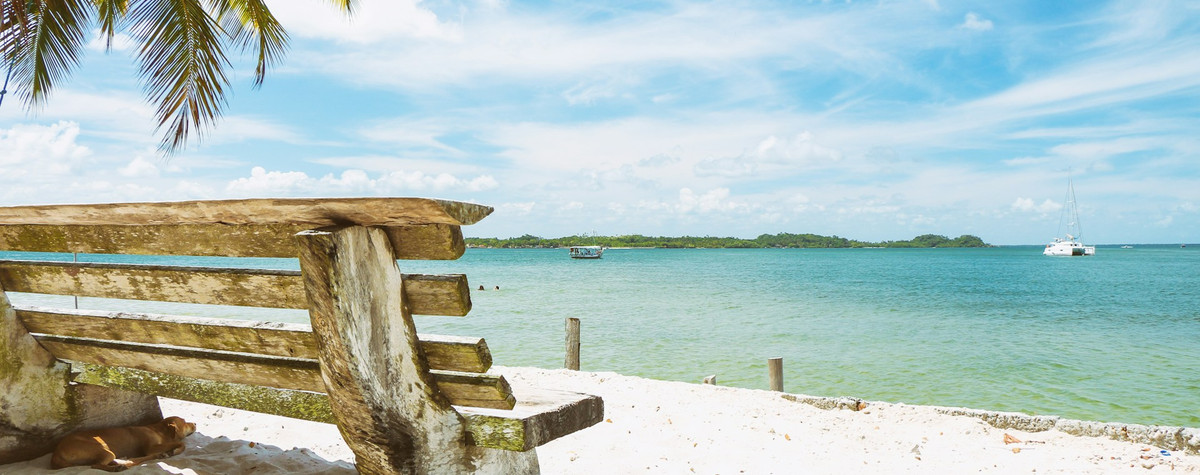 デジタル遊牧民として夏を受け入れる：シーズン固有のヒントであなたの毎日のルーチンを強化する