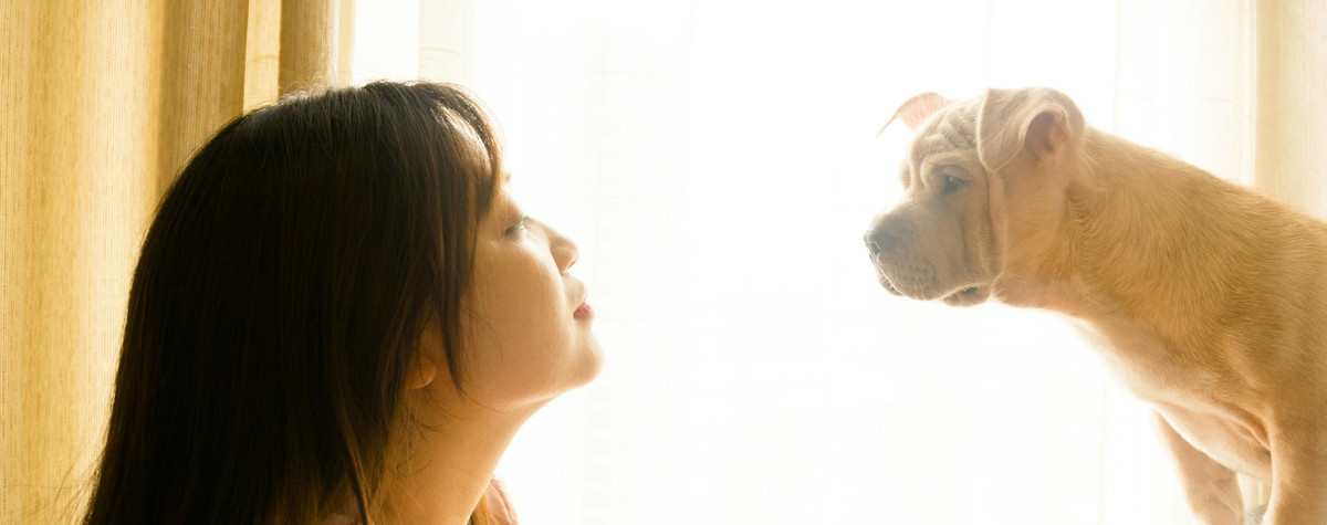 あなたはあなたのレンタルプロパティのペットを許可する必要がありますか？長所と短所