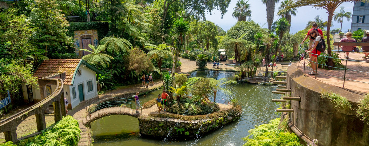 Madeiraのどこに行くか：（家族向けのスポット、デジタル遊牧民に最適な場所、最高のハイキングルート、旅行のヒントなど）