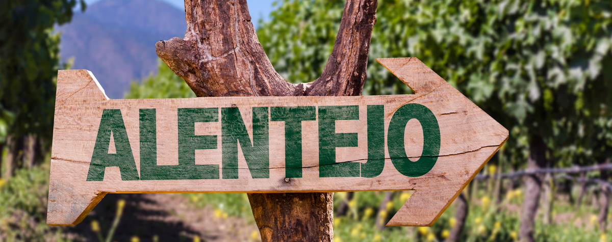 デジタル遊牧民のためのアレンテホガイド