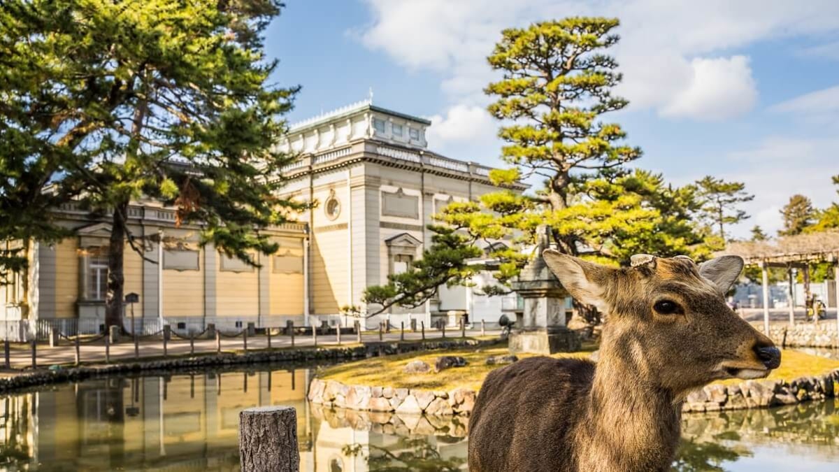 雨の日には、屋内観光をお勧めします！ 19インタラクティブで歴史的