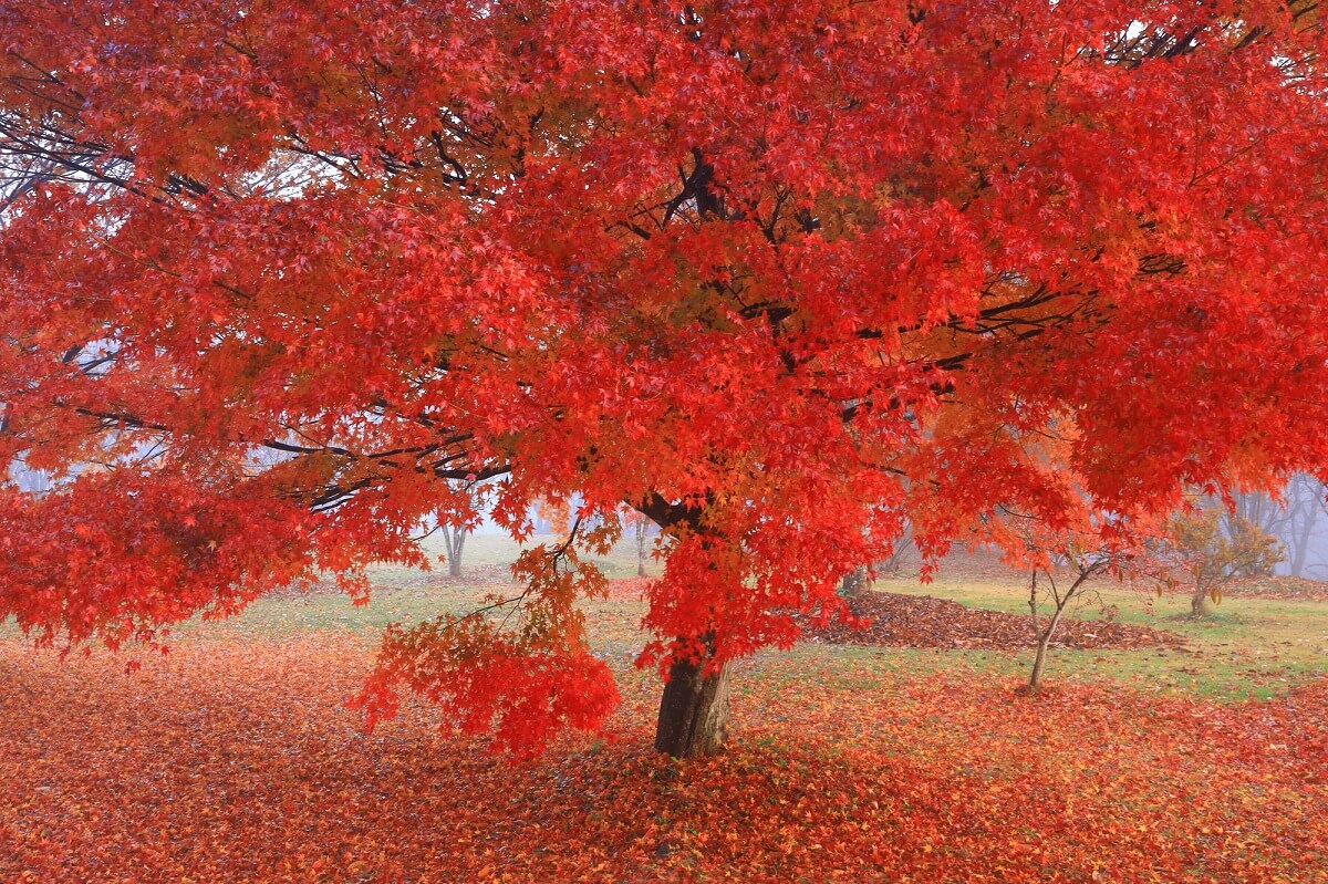 6 IWATE県の北京の観光スポットを必見