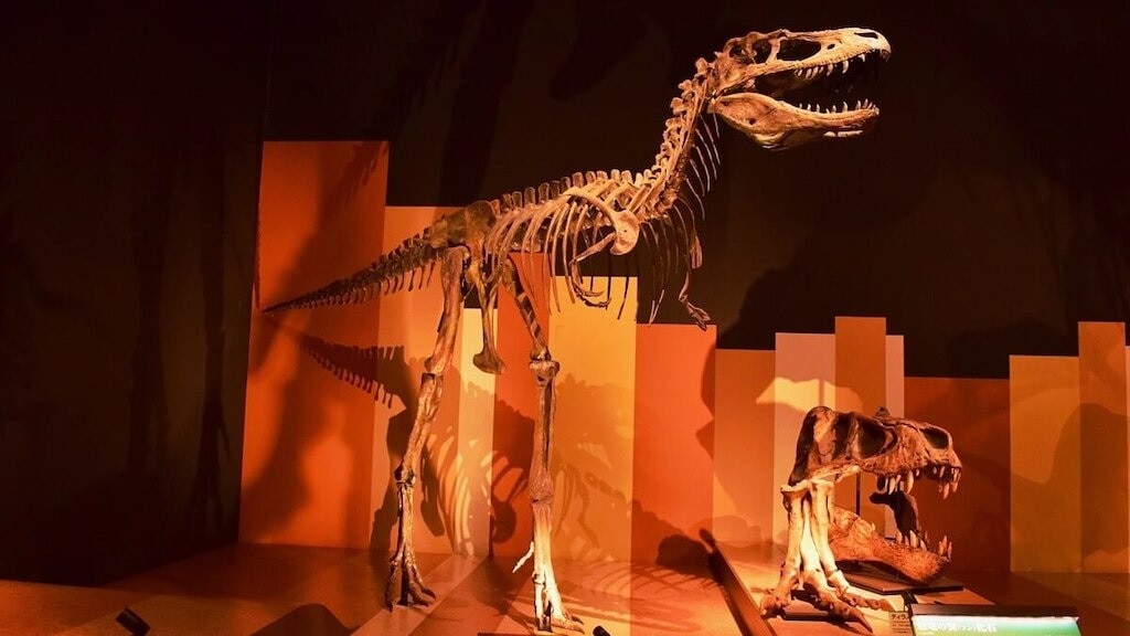 福島県の岩門市の石炭＆化石博物館「ホルル」の地球の歴史について学ぶ