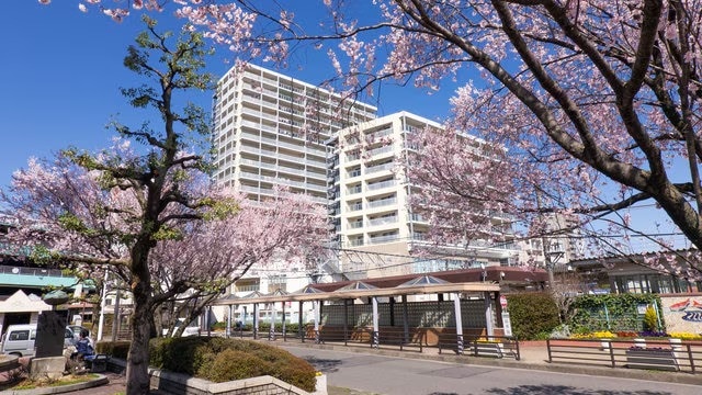 魅力に満ちています！ 5県岩村市の5つの推奨観光スポット