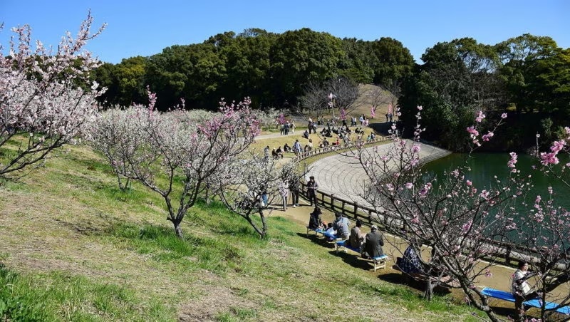 25チタ市の推奨観光スポット：自然と歴史を散歩する