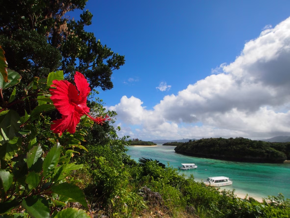 [石川島] 20の風光明媚なカフェ！ Instagramにふさわしいスポットが詰まっています
