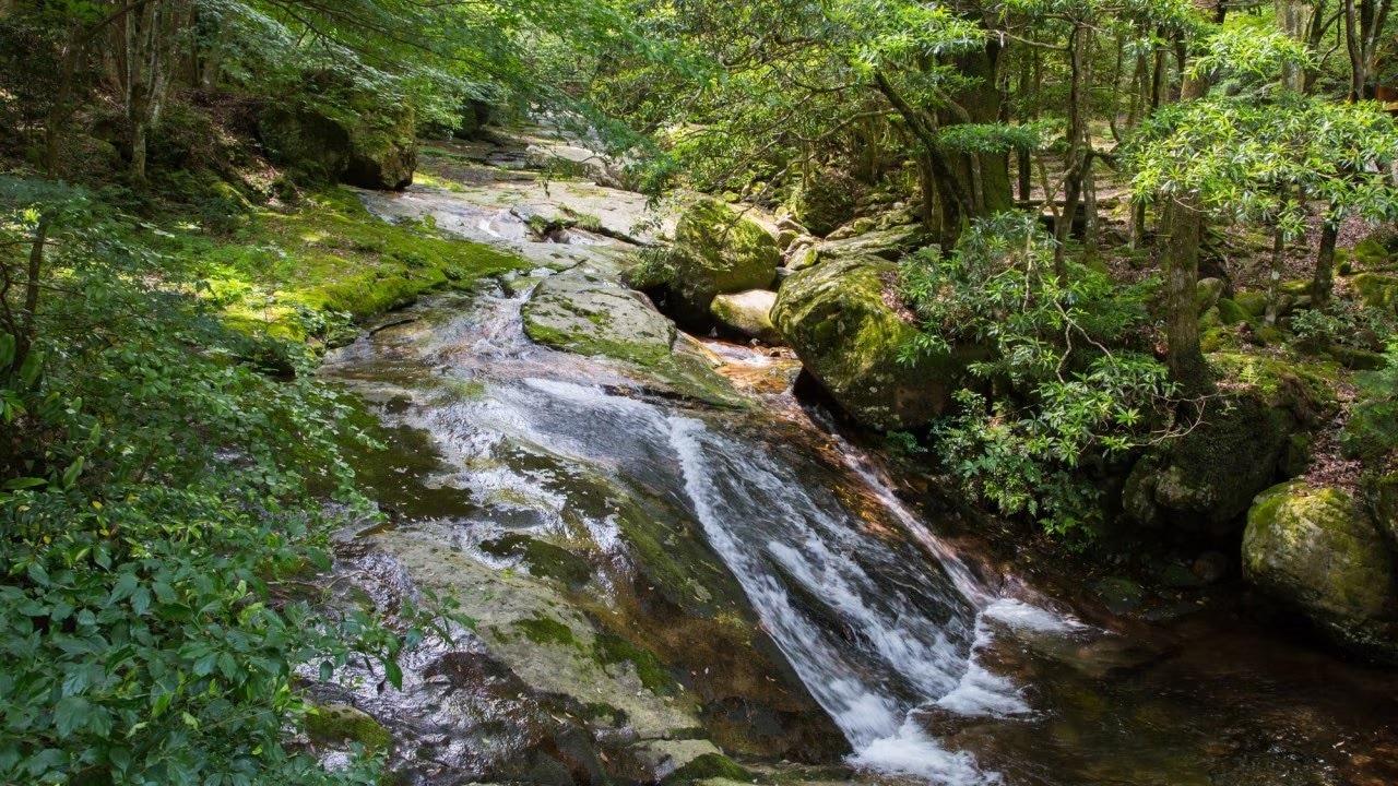 自然の宝庫！県キトウワ地区のキホク町にある4つの必見の観光スポットの紹介