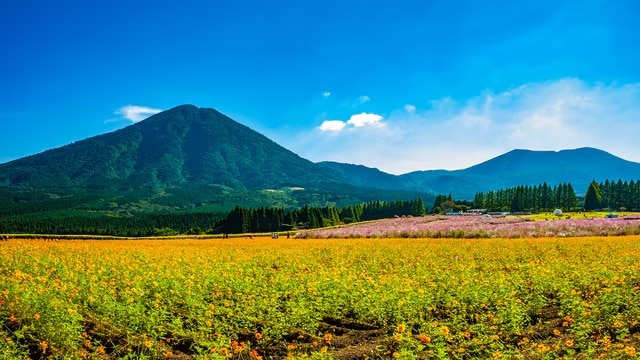 イコマ高原とその周辺の6つの推奨観光スポット