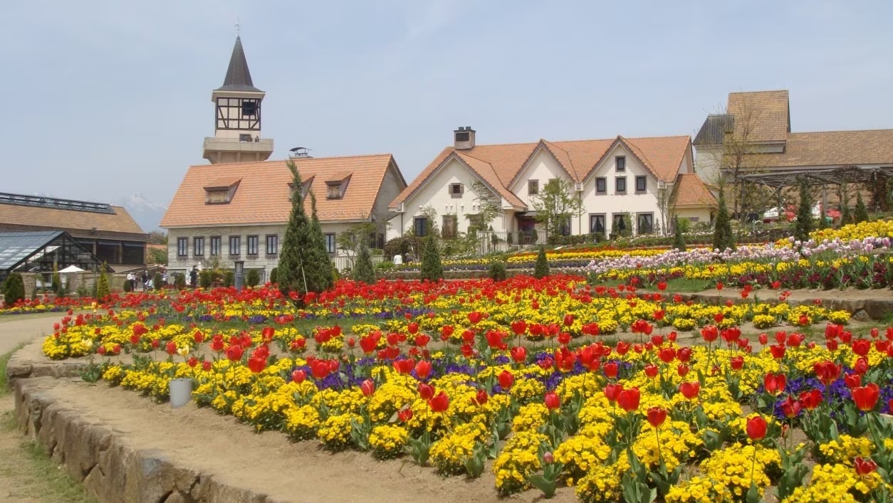 「ハイジの村」を楽しむ方法