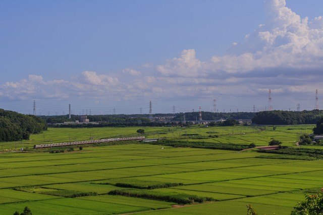 9 Sakura Cityの推奨観光スポット