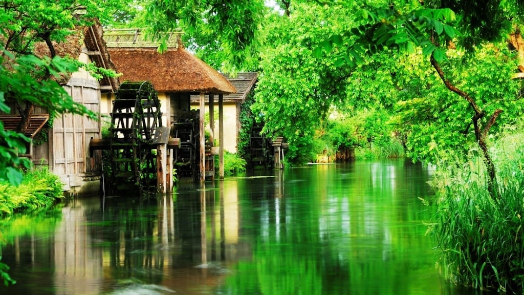 ダイオワサビファームを楽しむための完全な観光ガイド！アズミノの水と緑に癒されます