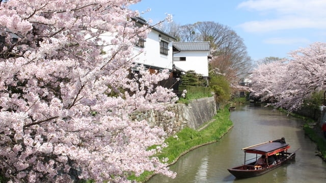 9オミの商人の故郷であるオミハチマンの9つの必見の観光スポット