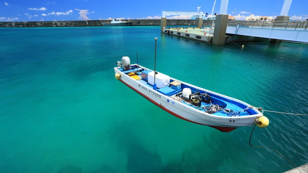 タラマ島から5つのお土産！ブラウンシュガーで作られた推奨シンプルなお菓子
