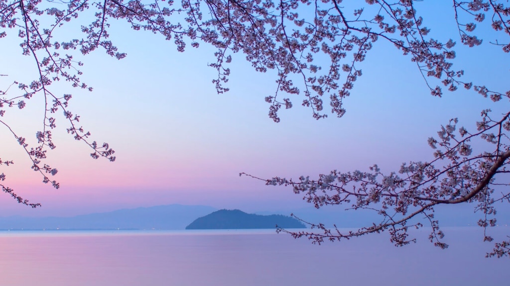 11高島市の推奨観光スポット：湖と佐藤の自然と文化をお楽しみください！