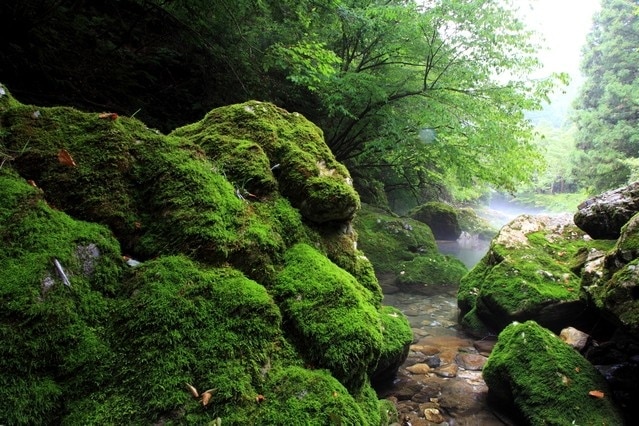 Gifu県のヤマガタ市に行くと、7つの必見の観光スポットがあります！