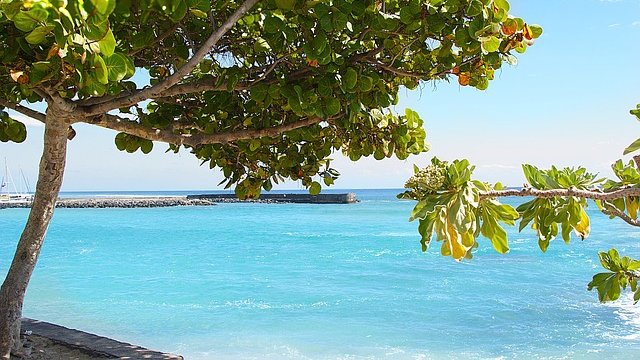 マダガスカルの隣のフランスの島であるレニオンに関するセキュリティ情報