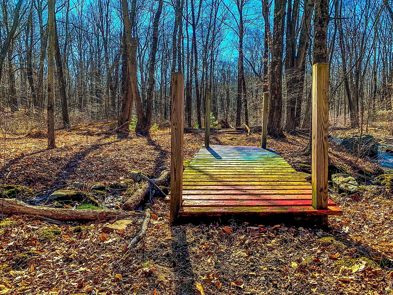 ニュージャージー州のふざけて特異な町