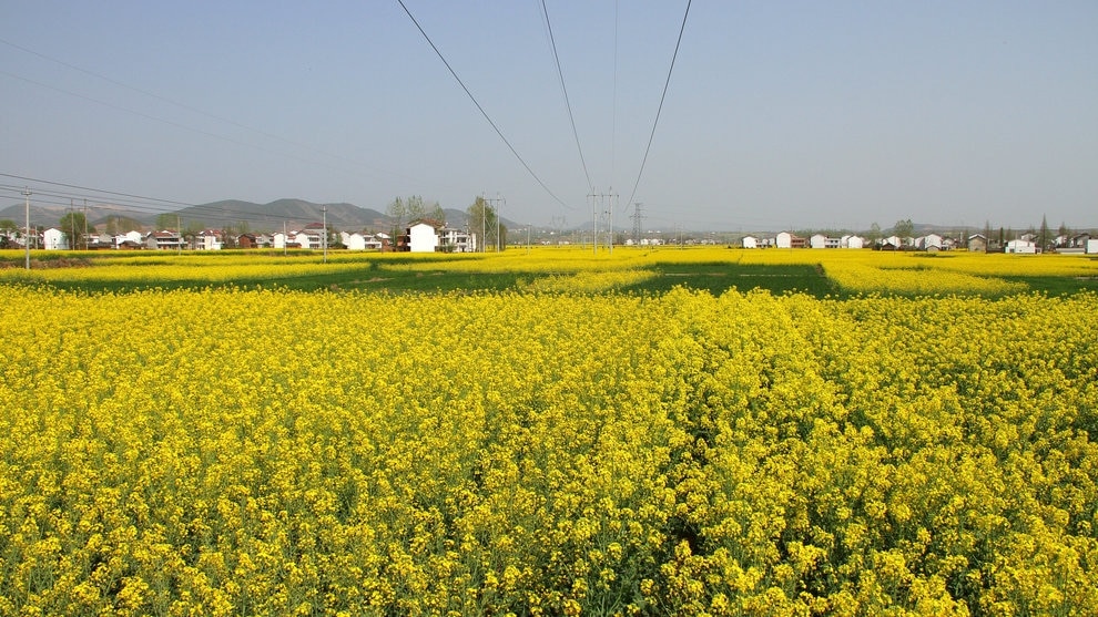 5歴史ファンのためにシャーンクシ州の漢の観光スポットを参照してください