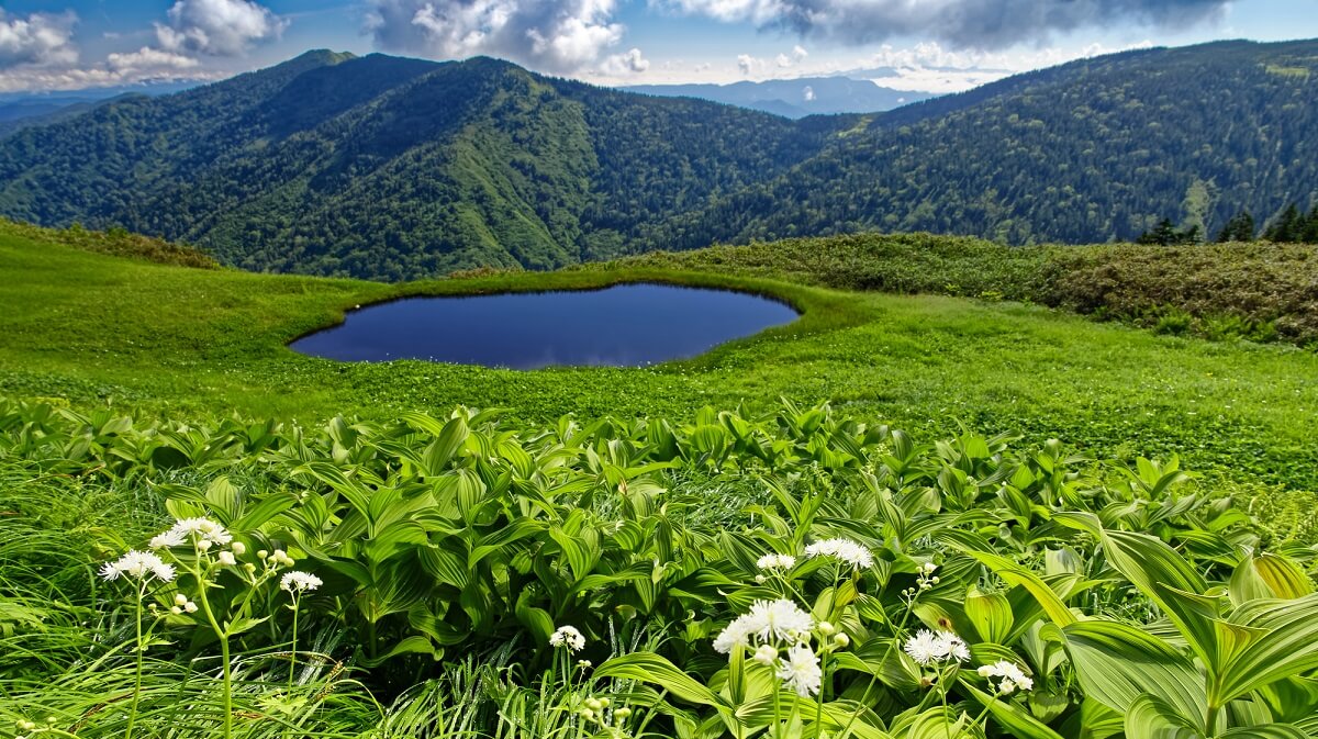 福島県、福島県で推奨される観光スポットを発見してください。