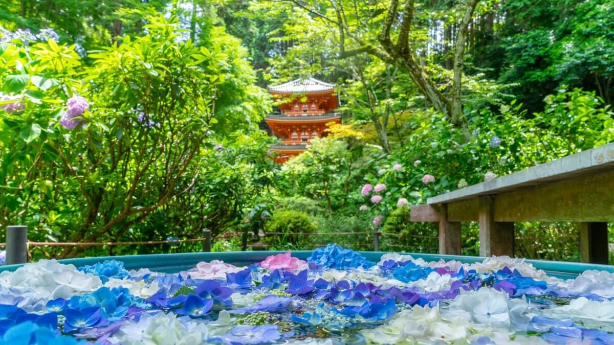 キツガワ：かつては帝国の首都