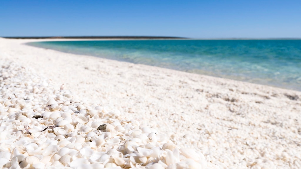 世界遺産のサメ湾