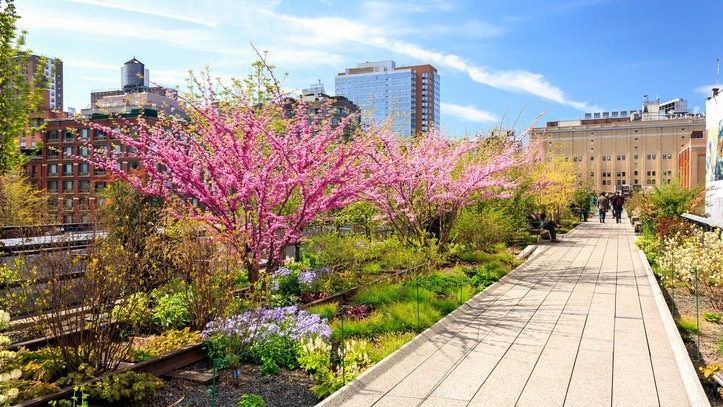 チェルシーの4つの推奨スポット