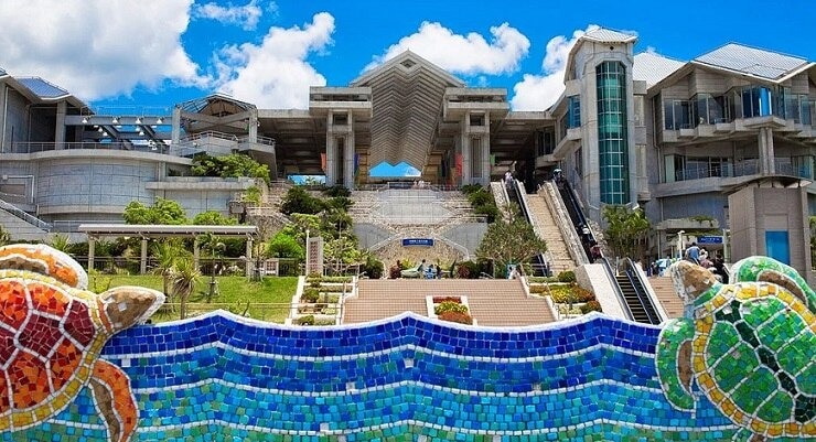 5つのモトブの町にある5つの推奨観光スポットは、必見の沖縄沖縄水族館の本拠地です！