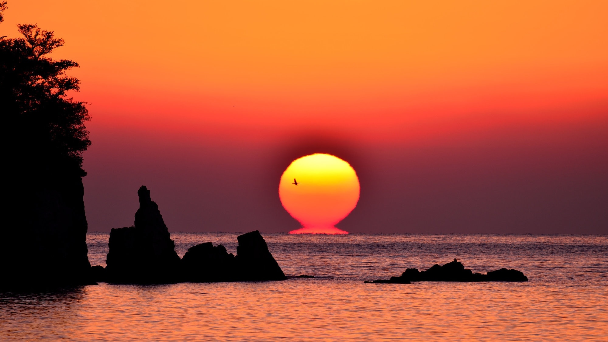 コチ県スクモの4つの推奨観光スポット