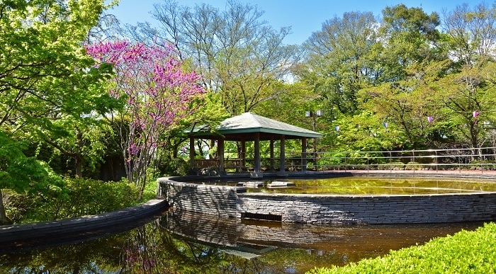 どこに行くのかわからない場合は、ここに向かいましょう！ 6佐野県のサノ市の必見の観光スポット