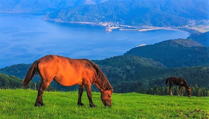 宮崎のTOIケープでの5つの推奨観光スポット