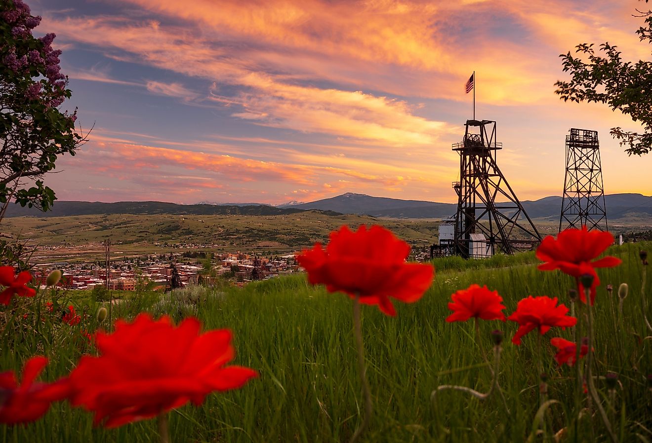 モンタナ州の8つのミスの町はできません