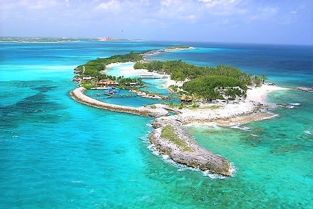 [バハマからのお土産]ラム酒、ラム酒ケーキ、免税アイテムをお勧めします！