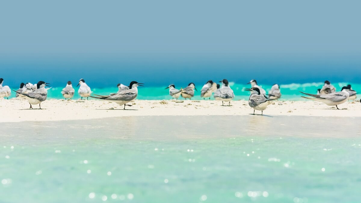 [フィリピンの世界遺産] 6つの必見のスポット！