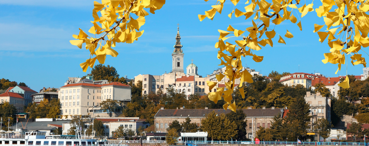 デジタル遊牧民のための5つのバルカンジェム