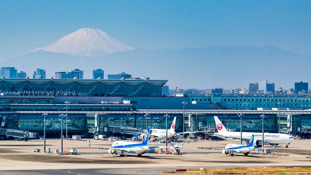 いつフライトを予約できますか？明確な説明！