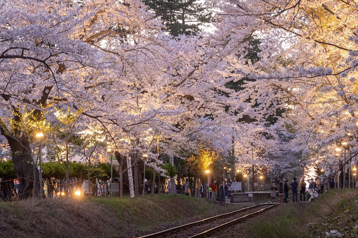 ゴシュゴガワラの7つの推奨観光スポット！オサム・ダザイが育った町を散歩します！