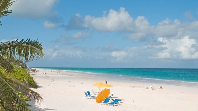 あなたがいつも夢見ていたカリブ海の海！ 7バハマのフリーポートで推奨される観光スポット！