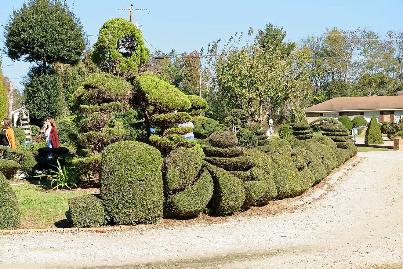 サウスカロライナ州のふざけて特異な町