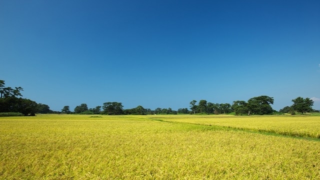 ニカホ市のキサカタ町周辺の7つの必見の観光スポット！ Chokai山と日本海をお楽しみください