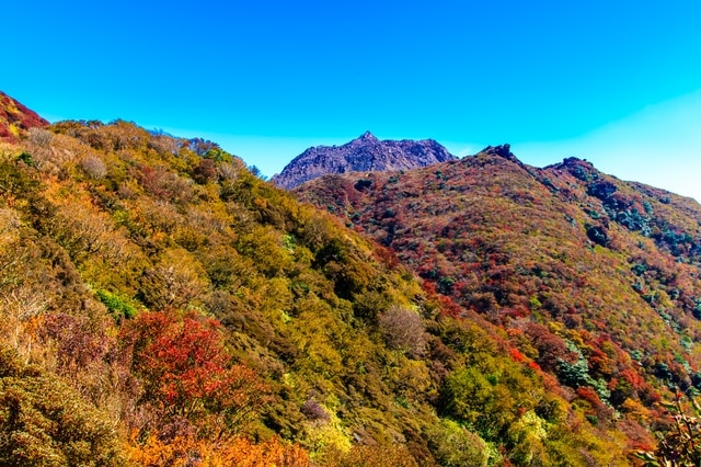 24島島反乱の敷地であるミナミシャマバラ市を訪れることをお勧めします！