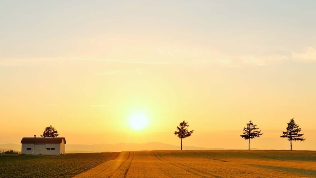 memanbetsu】マルケンヒル
