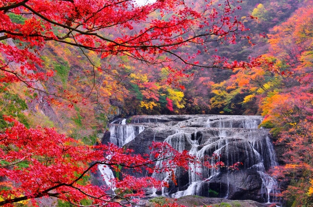 温泉と地元のフレーバーのツアー！ 4つのアジゴタウンの福音の周りの4つの観光スポットを参照してください！
