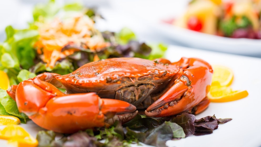 クラークキーエリアにある4つの人気のある美味しいシンガポールレストラン