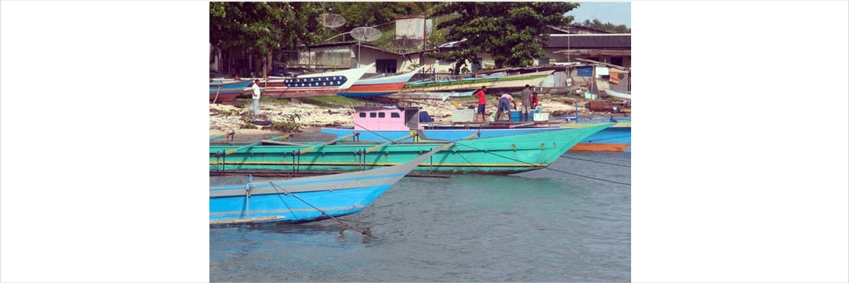 インドネシア海の隠された宝石！ビアックの4つの観光スポット！