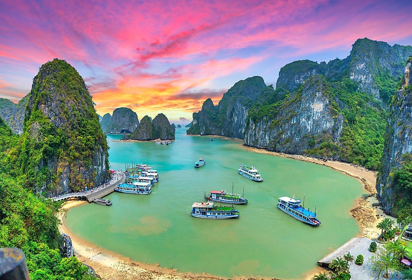 生物発光湖の背後にある科学