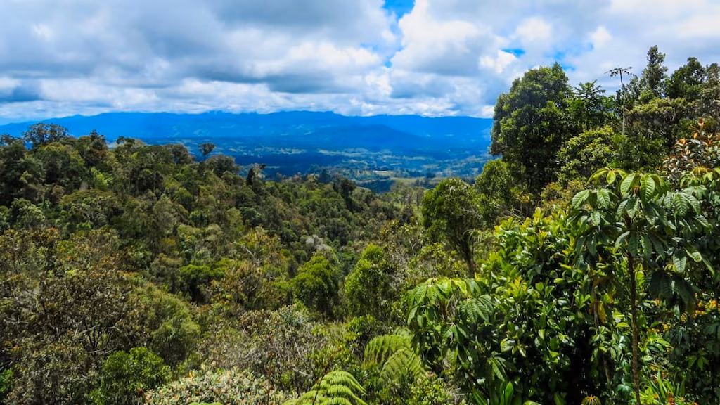 世界最古の農業遺跡！パプアニューギニアの世界遺産「クク初期農業遺跡」
